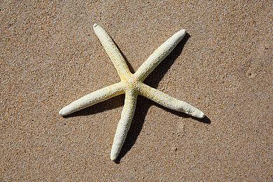 因面临经济问题  《荒神》开发商将于4月解散